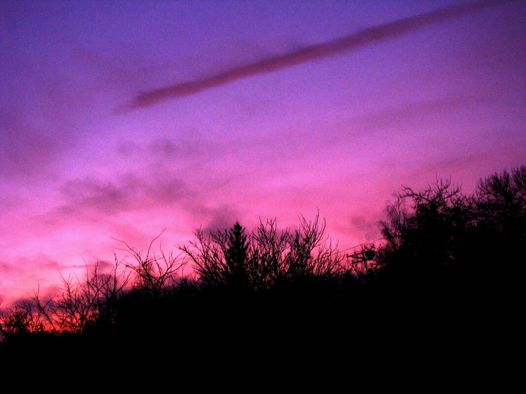 Декабрьское утро - Людмила Смородинская Декабрьское утро - Людмила Смородинская