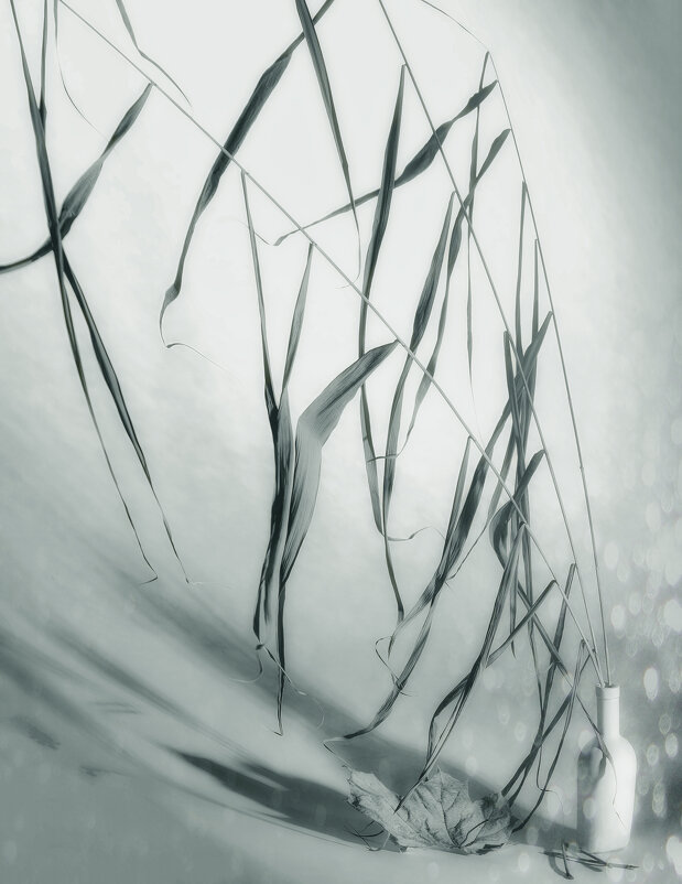 Блики. - Владимир Владимир Блики. - Владимир Владимир