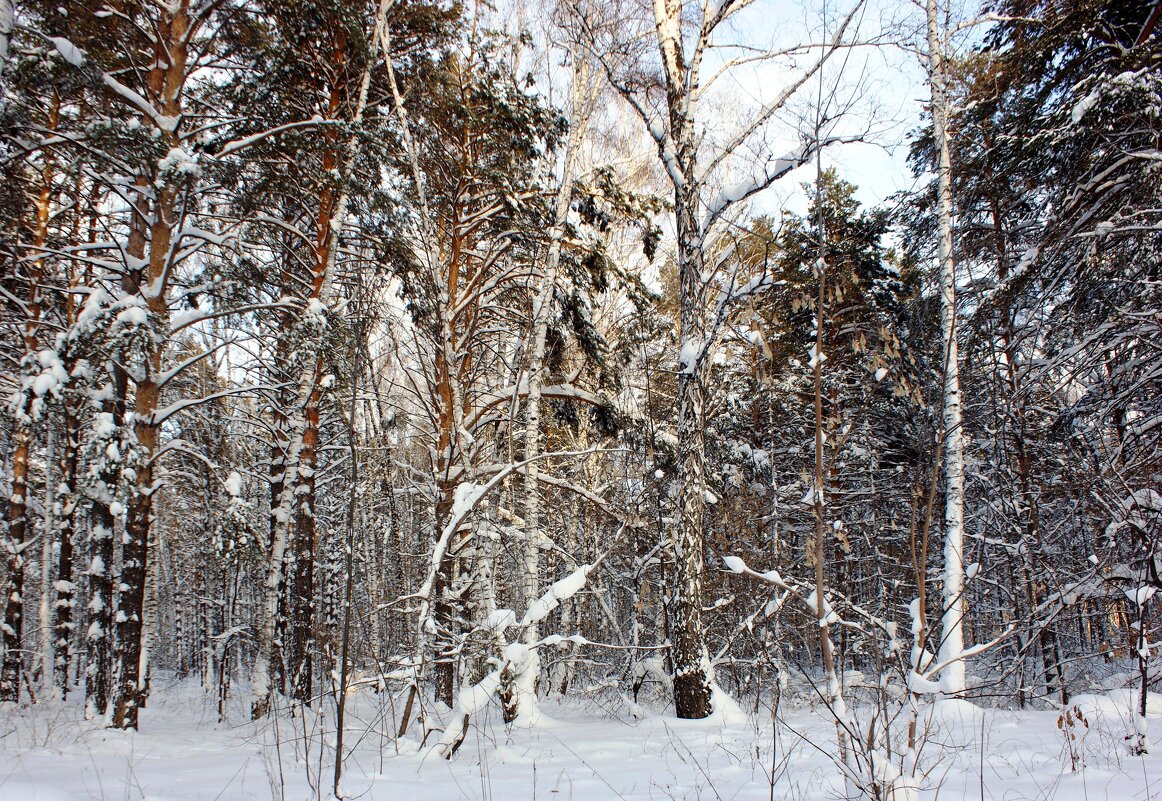 В парке - Галина Нестратова