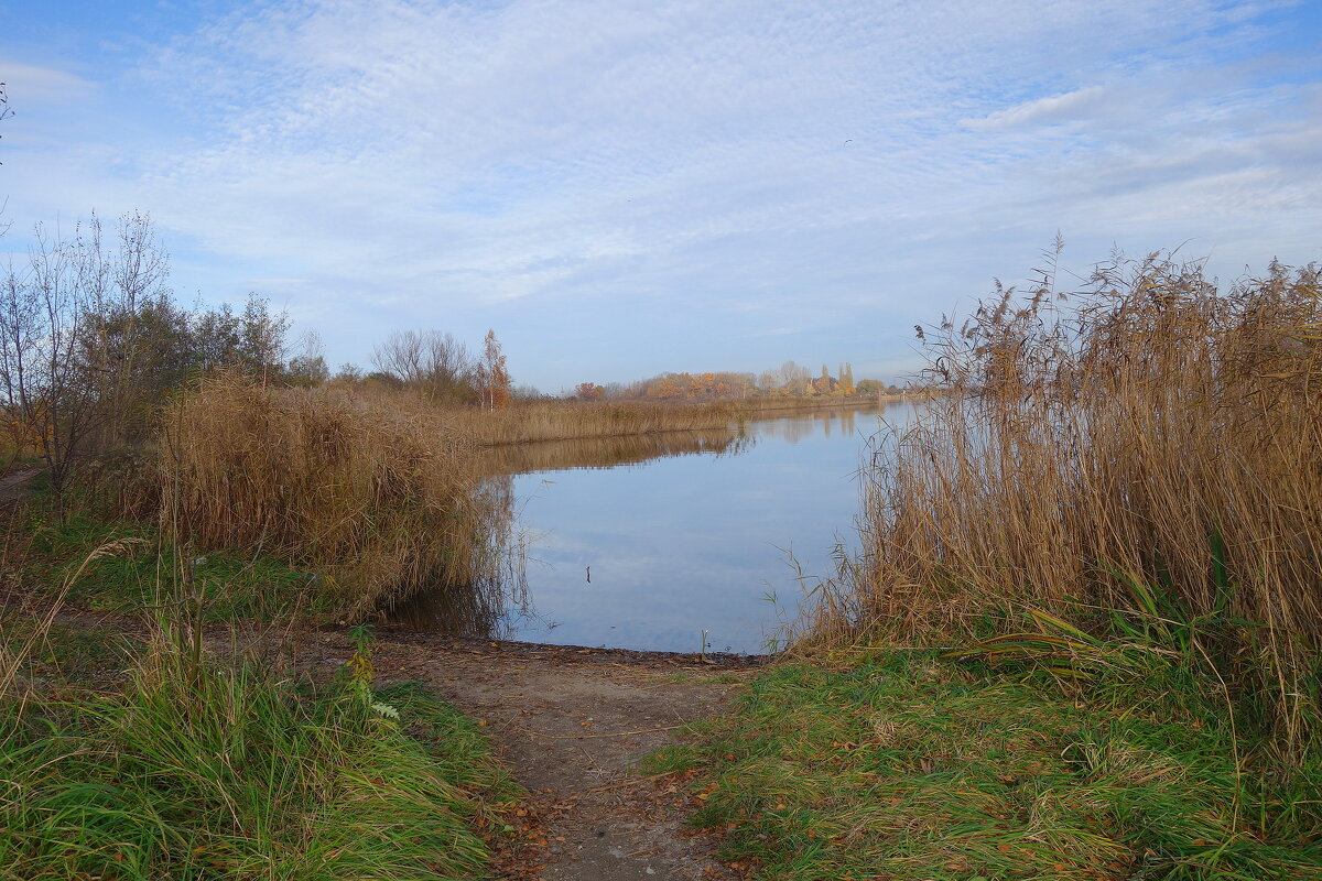 Осенний пейзаж - Рита Симонова Осенний пейзаж - Рита Симонова
