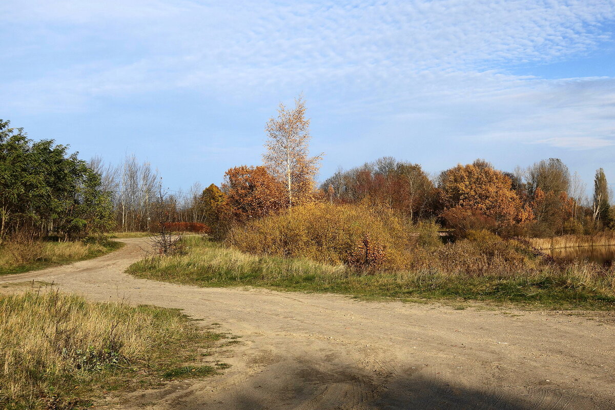 Осенний пейзаж - Рита Симонова Осенний пейзаж - Рита Симонова