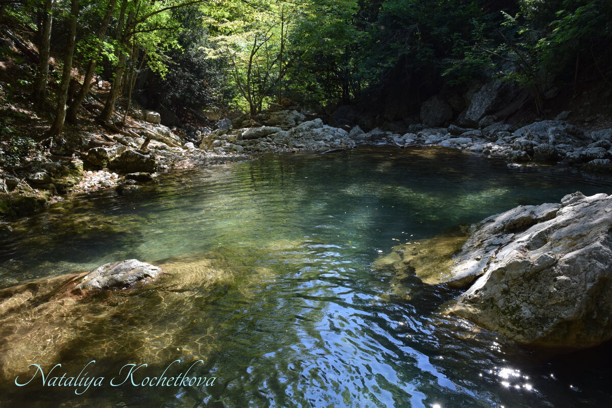 Природа Крыма - Amazing Cosmea