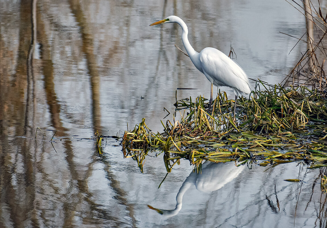 Гляжу в озёра синие - Alexandеr P
