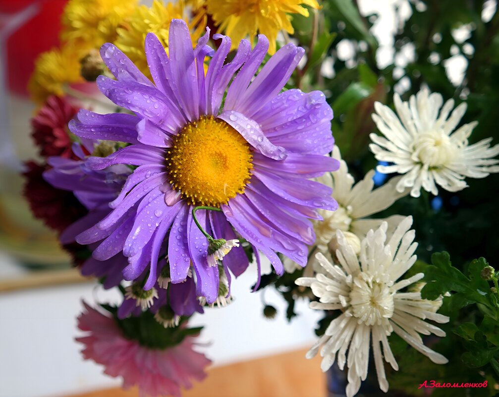 Про цветы осенние... - Андрей Заломленков Про цветы осенние... - Андрей Заломленков