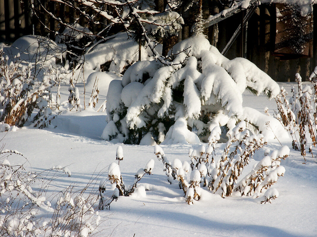 8 декабря 2007года в Самаре. Триптих.Часть 2. - MILAV V