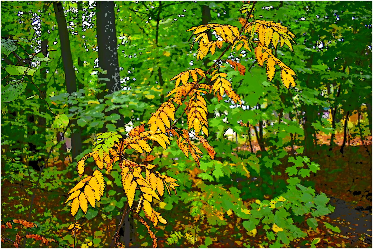 ОСЕНЬ - Юрий Владимирович 34