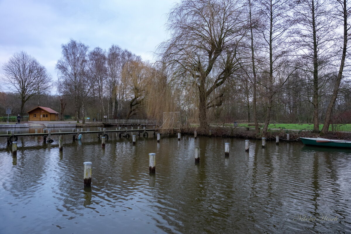 Время января... - Николай Гирш