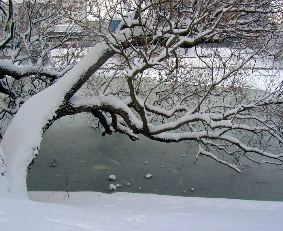 Над озером склоняясь - Сергей Карачин