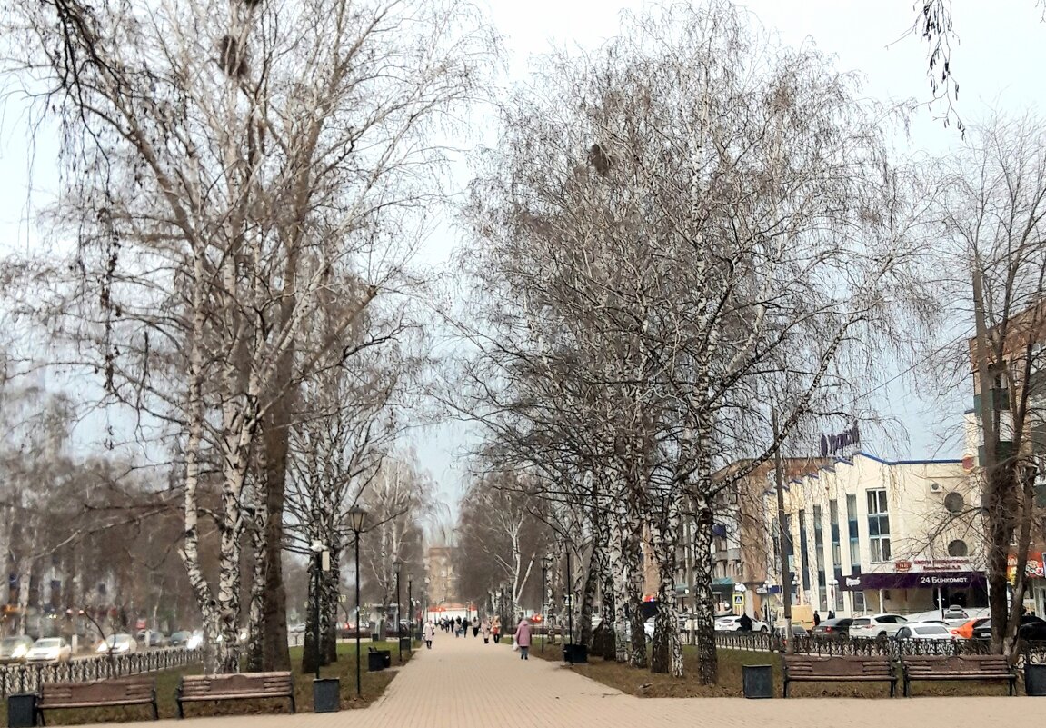 Декабрь - Венера Чуйкова