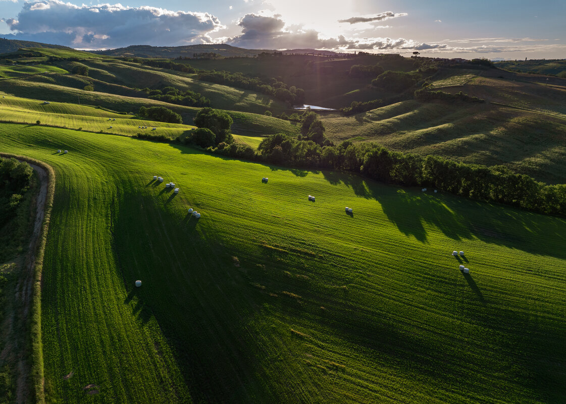 Зелёные поля - Алекс Римский