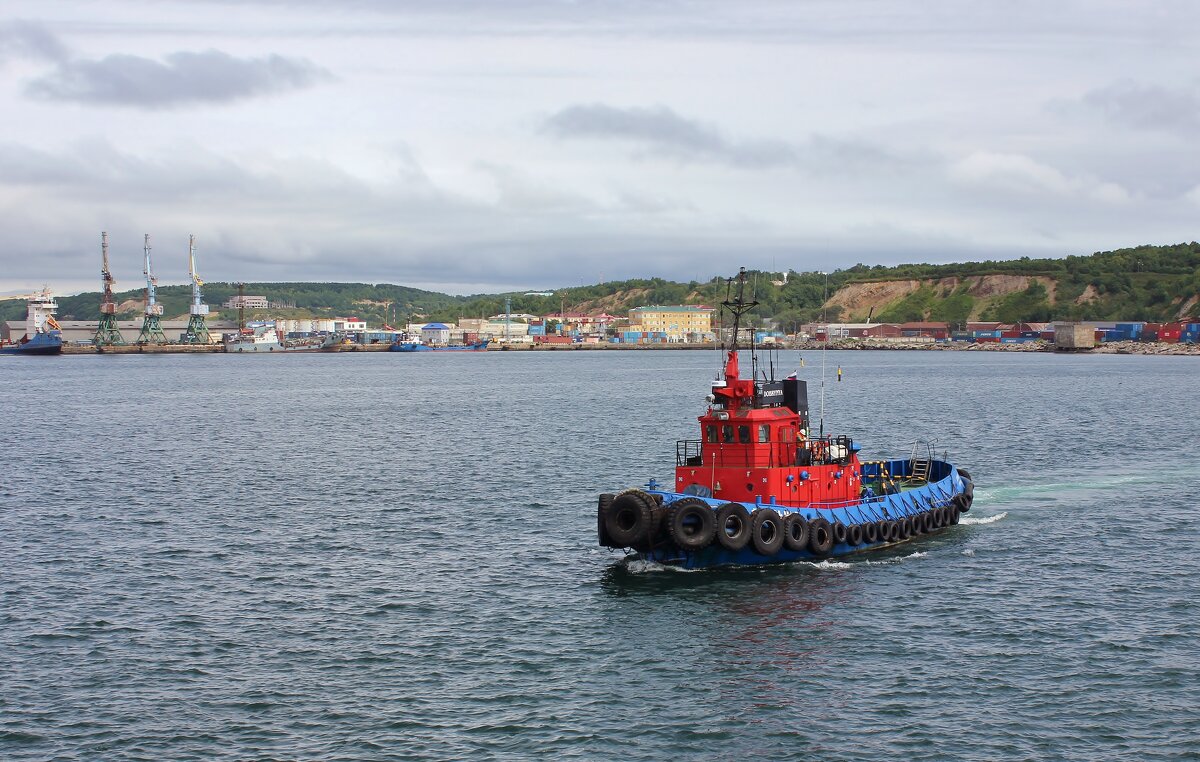 Буксир "Добрыня" - Владимир Соколов (svladmir) Буксир "Добрыня" - Владимир Соколов (svladmir)