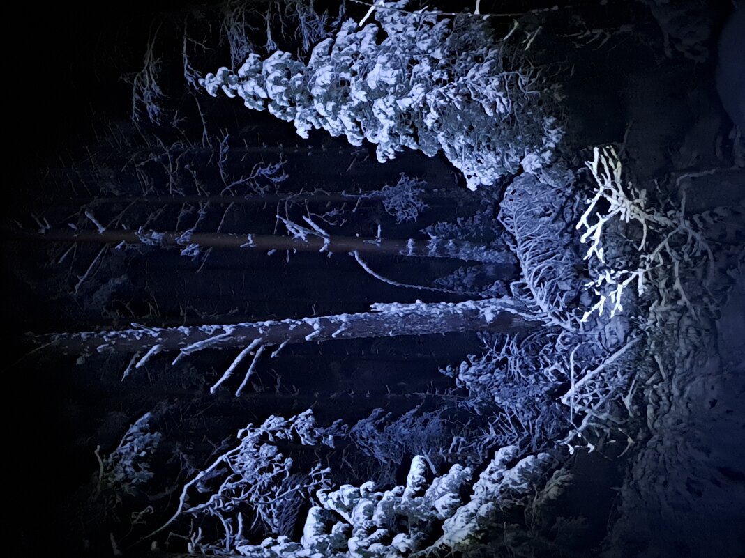 Зимняя ночь. - Юрий 