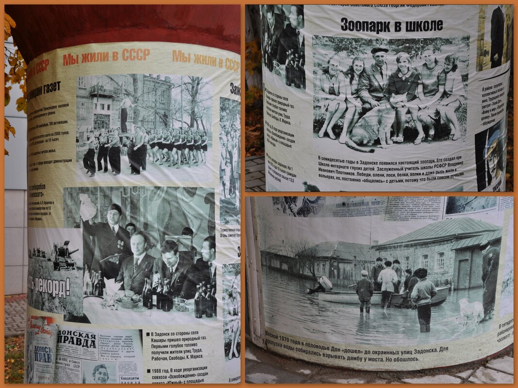 Мы жили в СССР - Татьяна Машошина Мы жили в СССР - Татьяна Машошина