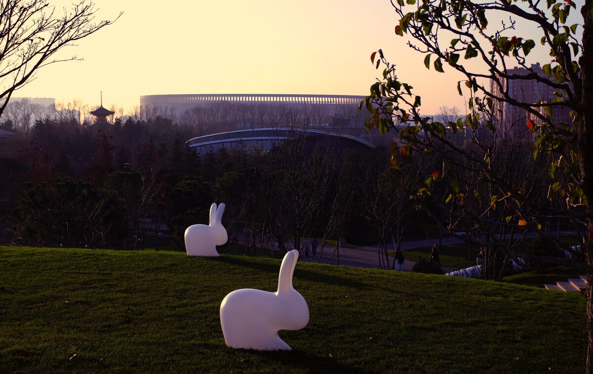 Вид на Краснодар Арену. - Юрий Полторыхин. Вид на Краснодар Арену. - Юрий Полторыхин.