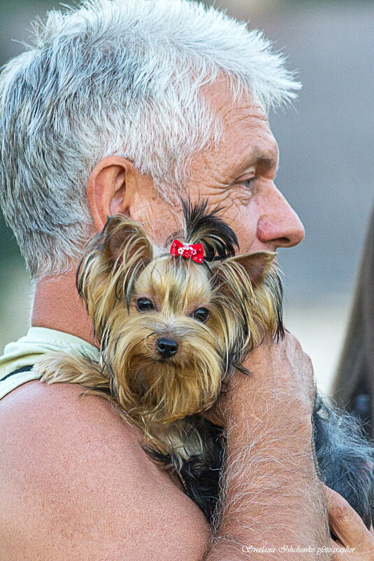 ... - Светлана Ищенко