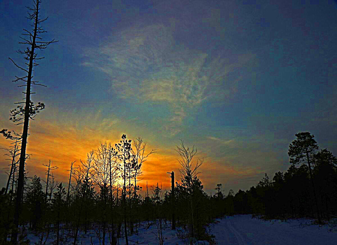 Вечерняя заря в тайге! - Владимир 