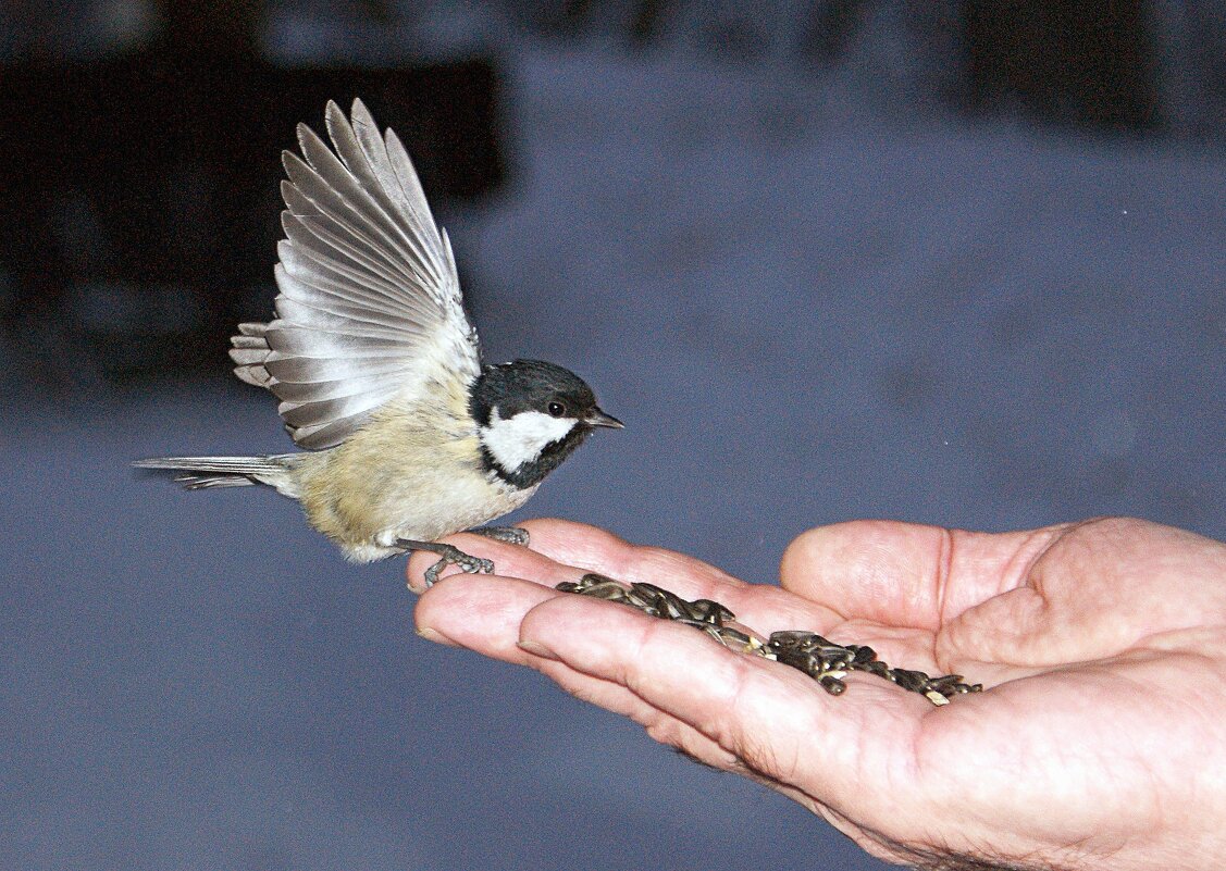 Можно и покушать! - Галина Нестратова