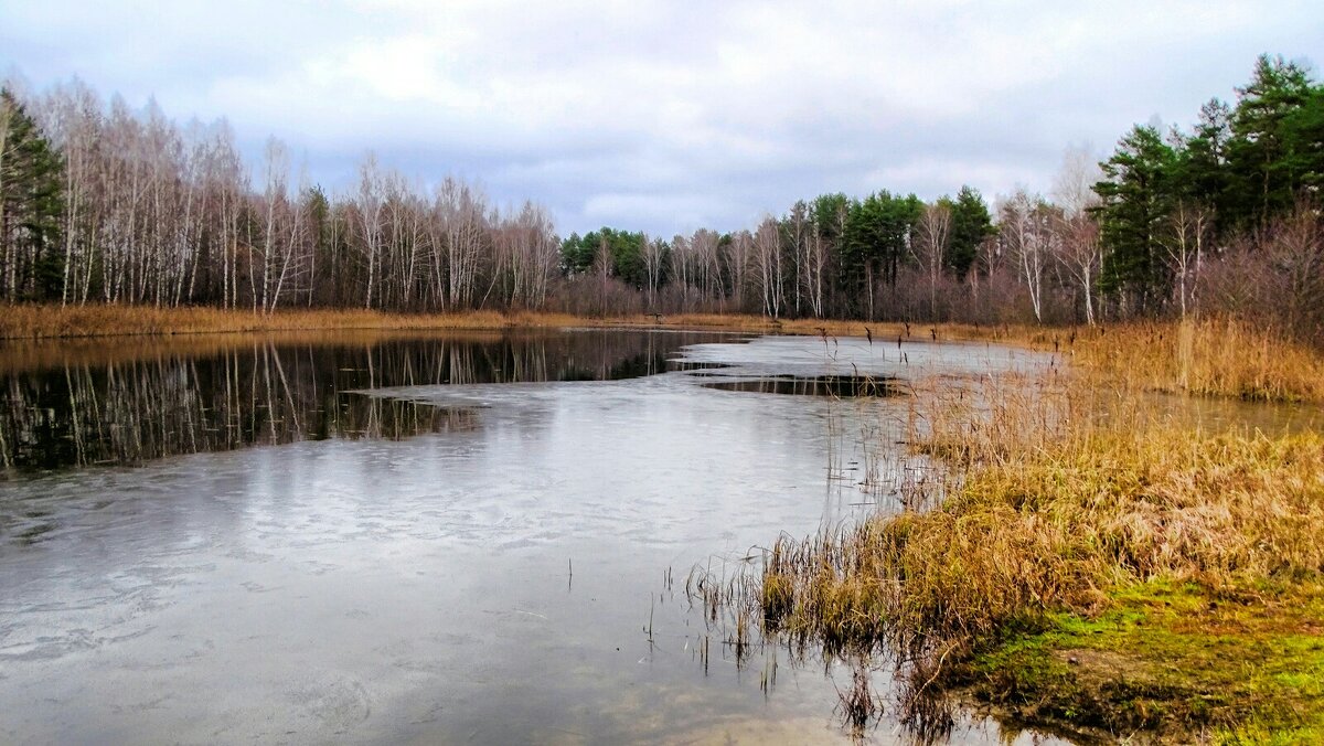 Зима в начале декабря. - Милешкин Владимир Алексеевич 