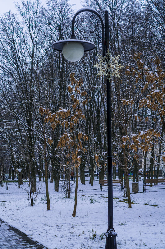 Мой город - Зима, Декабрь - Владимир Максимов