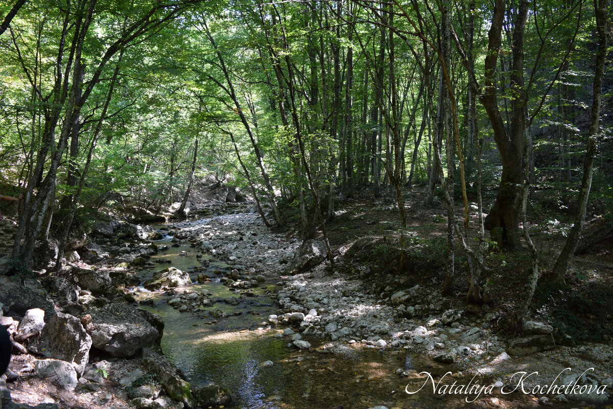 Природа Крыма - Amazing Cosmea Природа Крыма - Amazing Cosmea