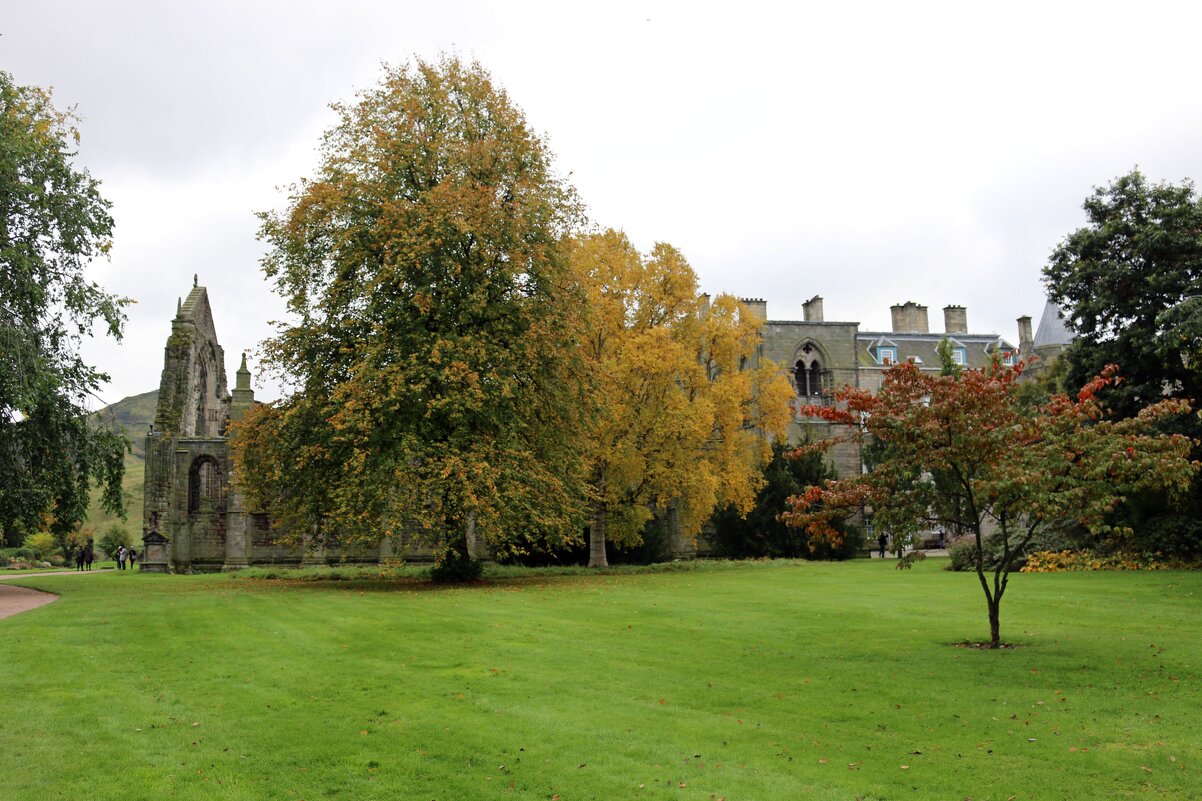 Осень в парке королевского дворца - Ольга Осень в парке королевского дворца - Ольга
