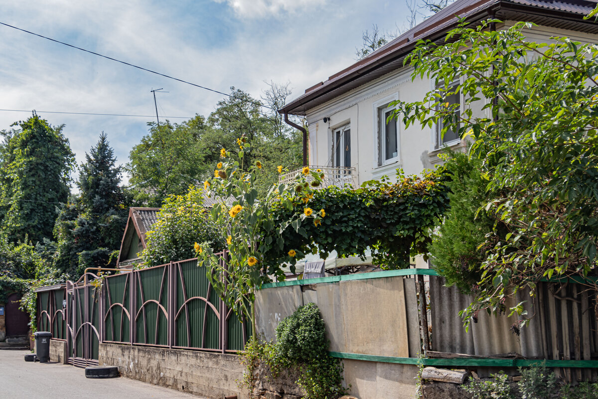 улицы Кисловодска - navalon M улицы Кисловодска - navalon M