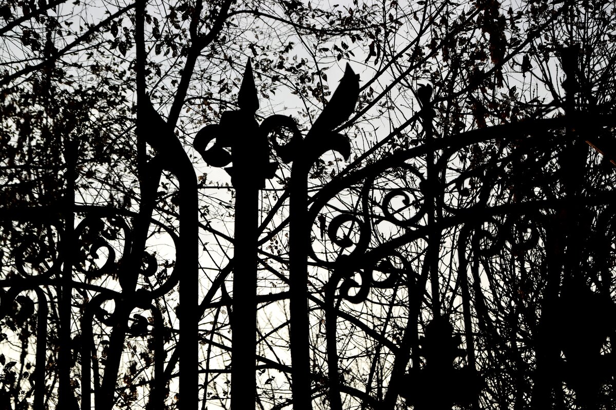 Осень. Старая ограда - Павленко Михаил 