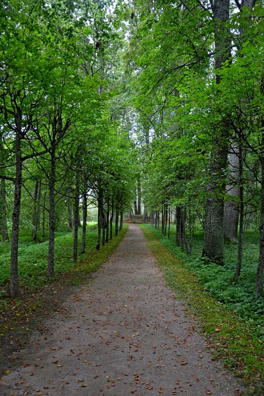 ПЕТРОВСКОЕ, вотчина Ганнибалов. - Виктор Осипчук ПЕТРОВСКОЕ, вотчина Ганнибалов. - Виктор Осипчук