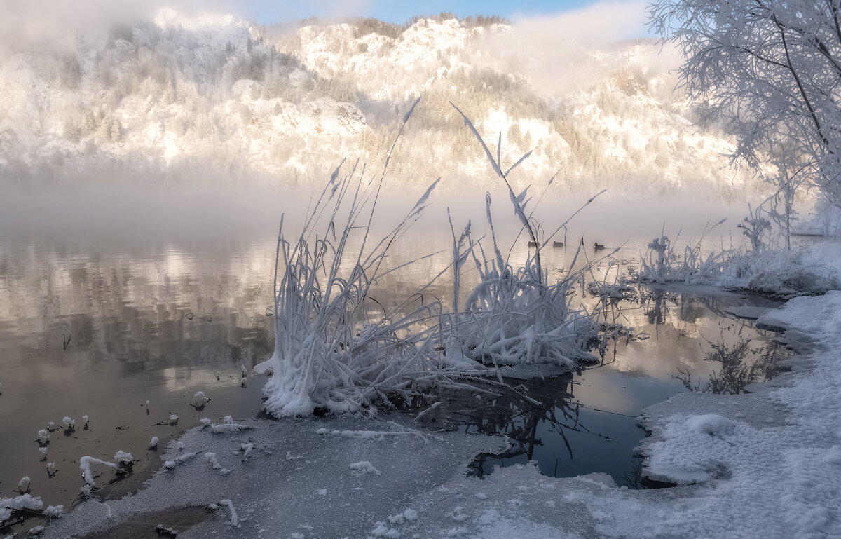 Морозная свежесть - Марина Фомина. Морозная свежесть - Марина Фомина.