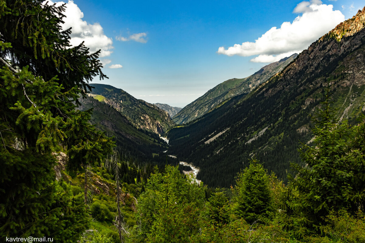 6 - HART BAD 6 - HART BAD