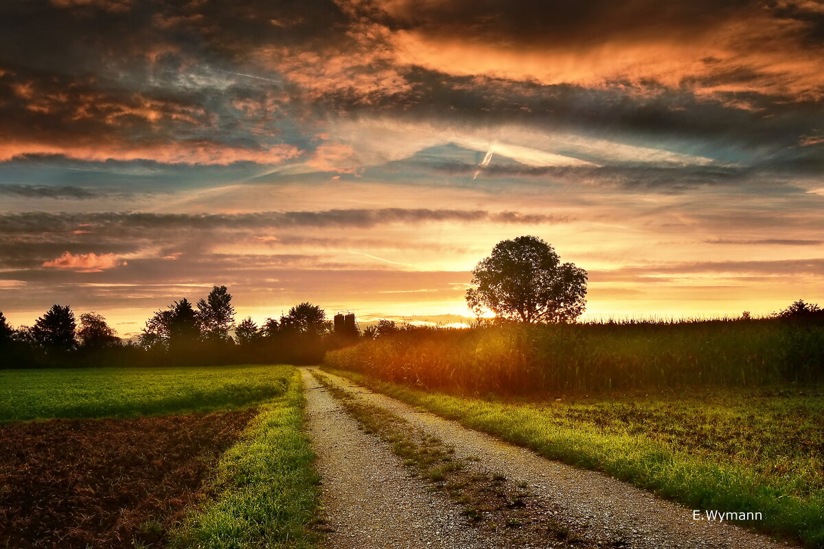 sunrise - Elena Wymann