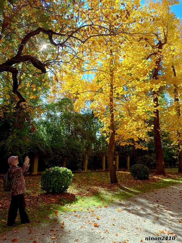 Адлер. Дендропарк "Южные культуры" - Нина Бутко