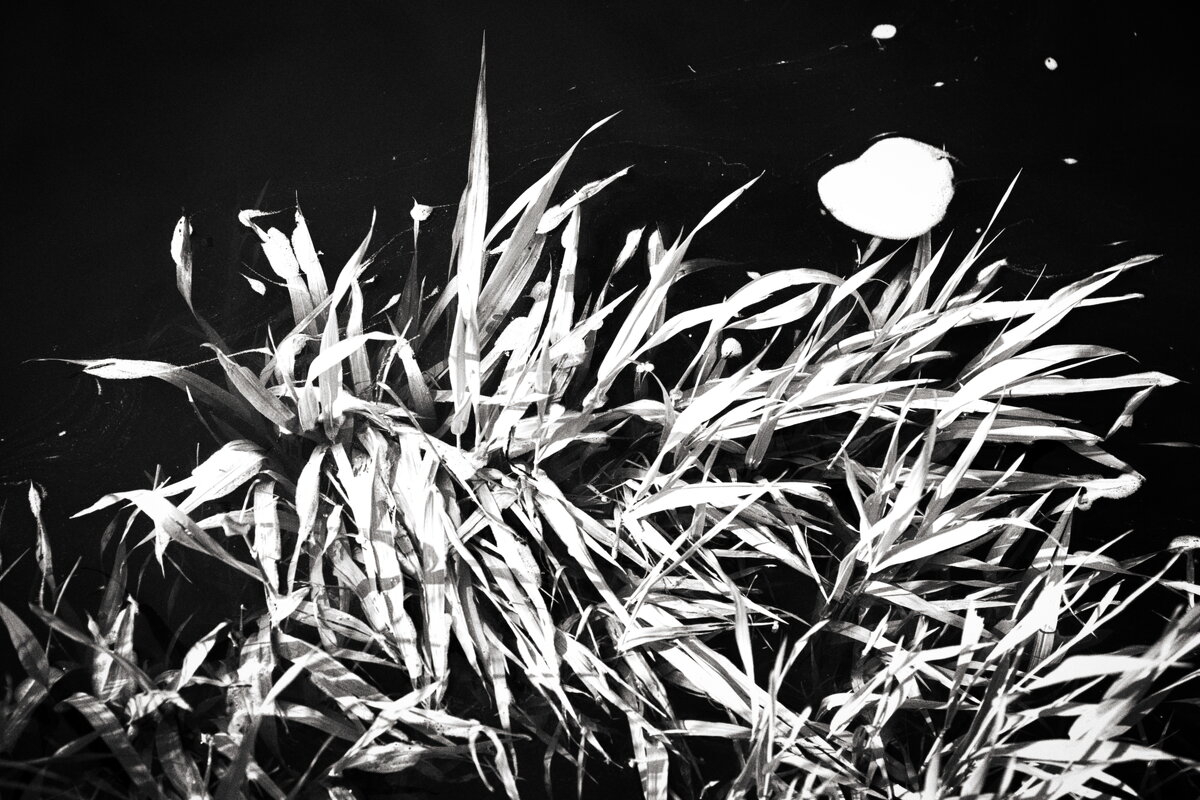 Фотография - Денис Безногов