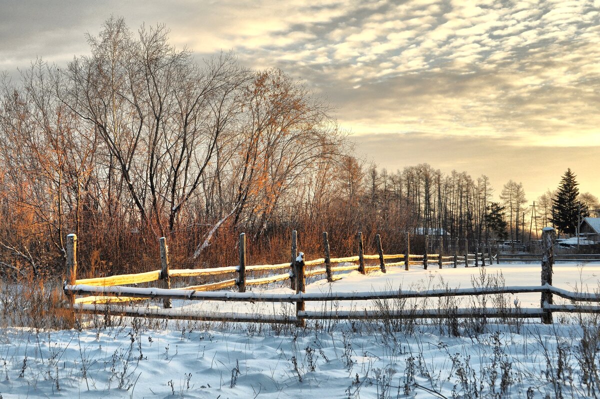 Пришла зима - Владимир Зыбин Пришла зима - Владимир Зыбин