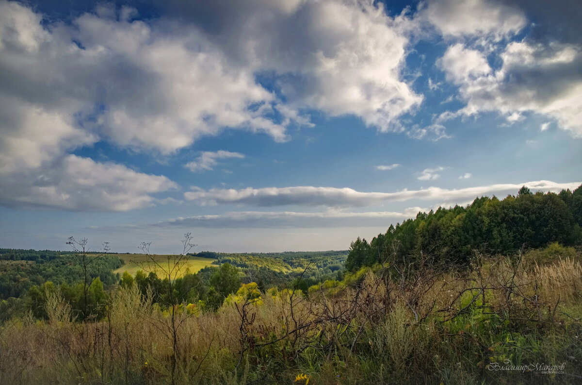 "Пущинские просторы. Начало сентября"© - Владимир Макаров "Пущинские просторы. Начало сентября"© - Владимир Макаров