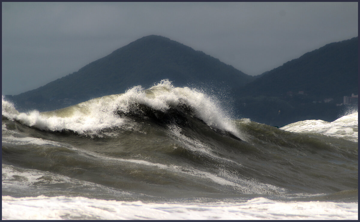 Волна. - Александр 