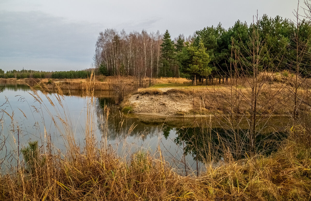 Во такая зима в Подмосковье 4 - Андрей Дворников