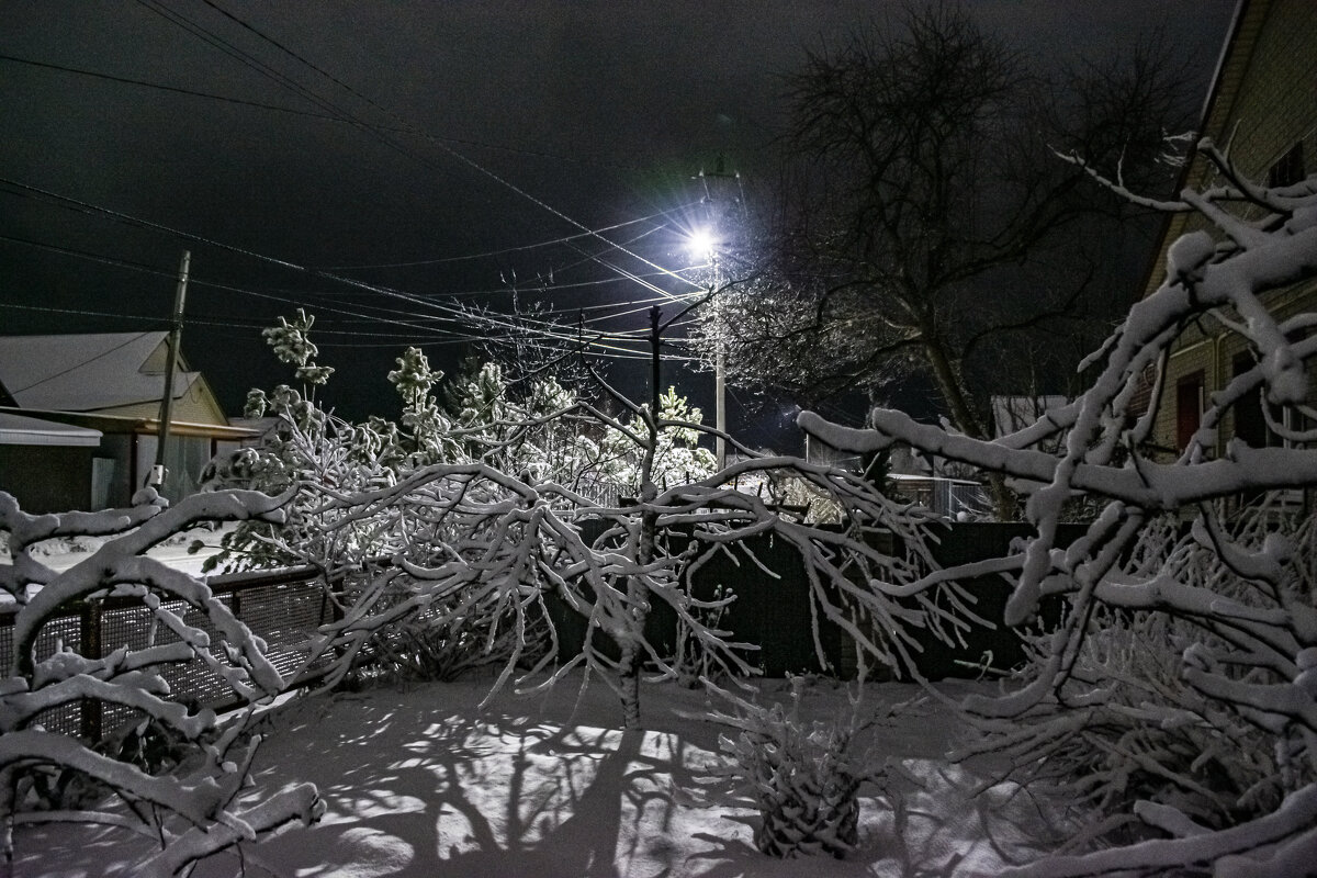 вечером был снег . - petyxov петухов вечером был снег . - petyxov петухов