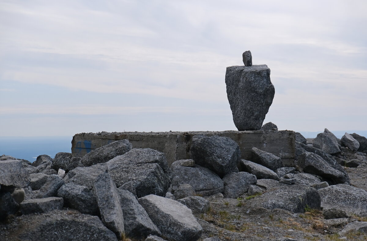 Властелин - Андрей Зайцев Властелин - Андрей Зайцев