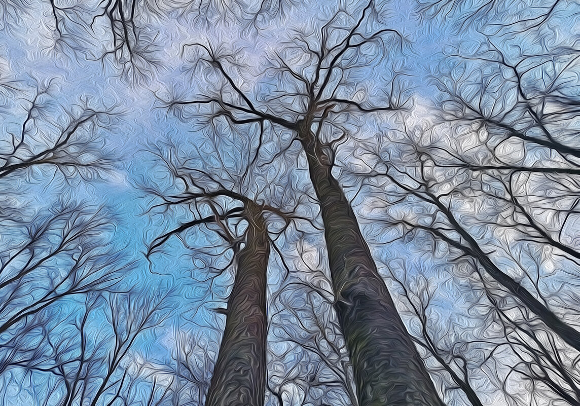 Дерева вы мои, дерева... - Валентина Нефёдова Дерева вы мои, дерева... - Валентина Нефёдова