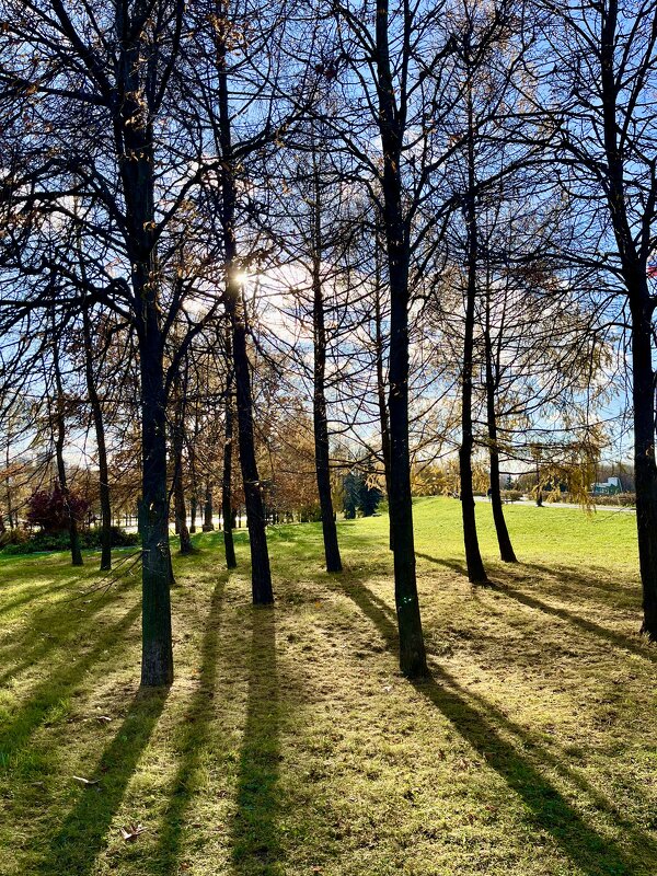 Осенний парк - Александр Конов Осенний парк - Александр Конов