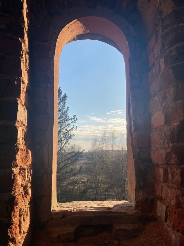 Вид из окна - Ольга Савельева 