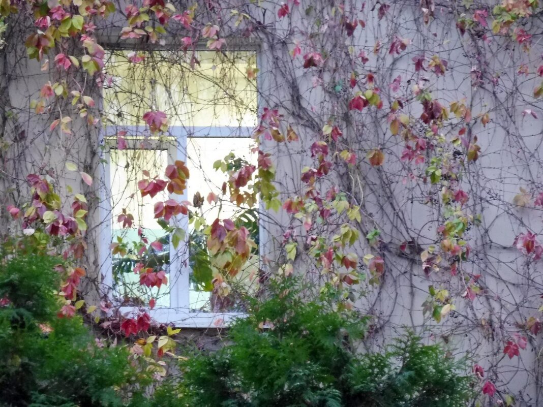 Осень - Елена Суханова Осень - Елена Суханова