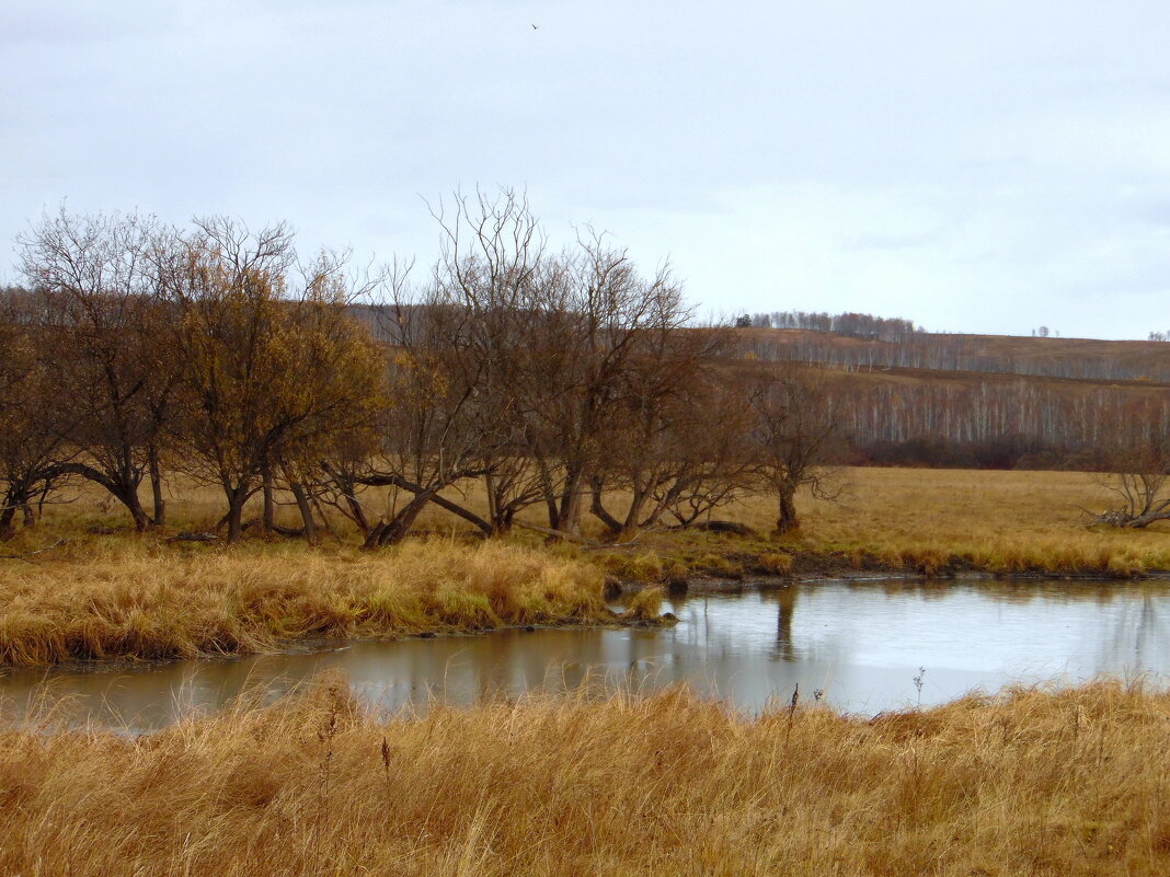 Унылая пора. - nadyasilyuk Вознюк