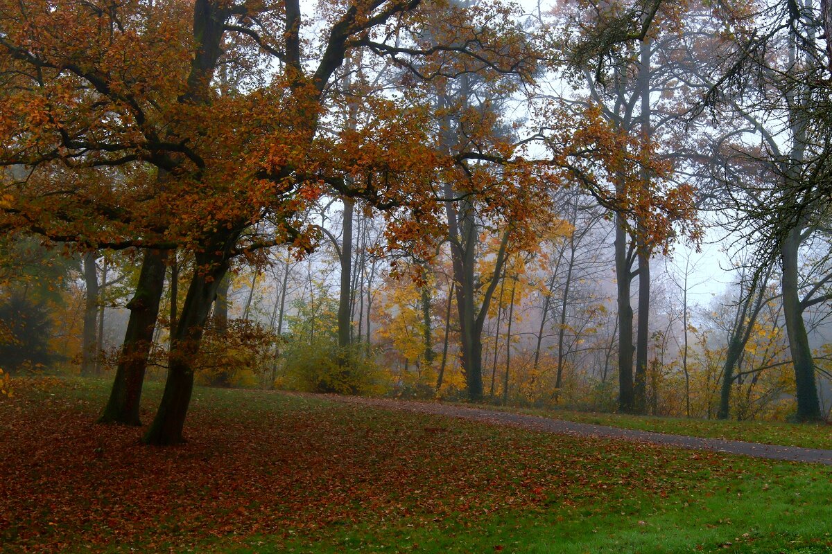 На рассвете - Юрий. Шмаков