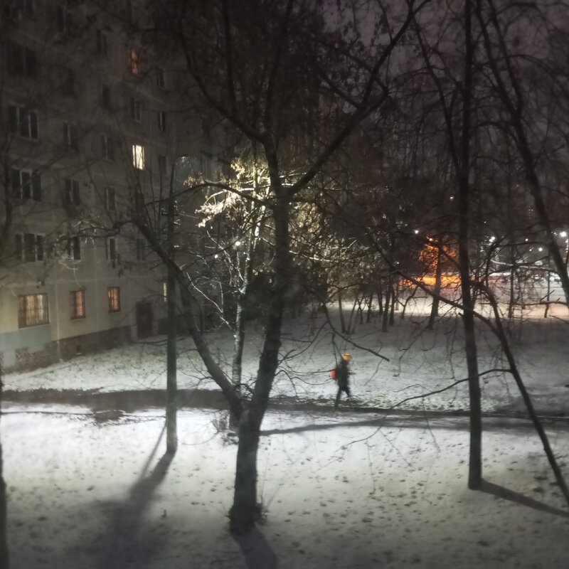 А ночью выпал снег. - Елена Семигина