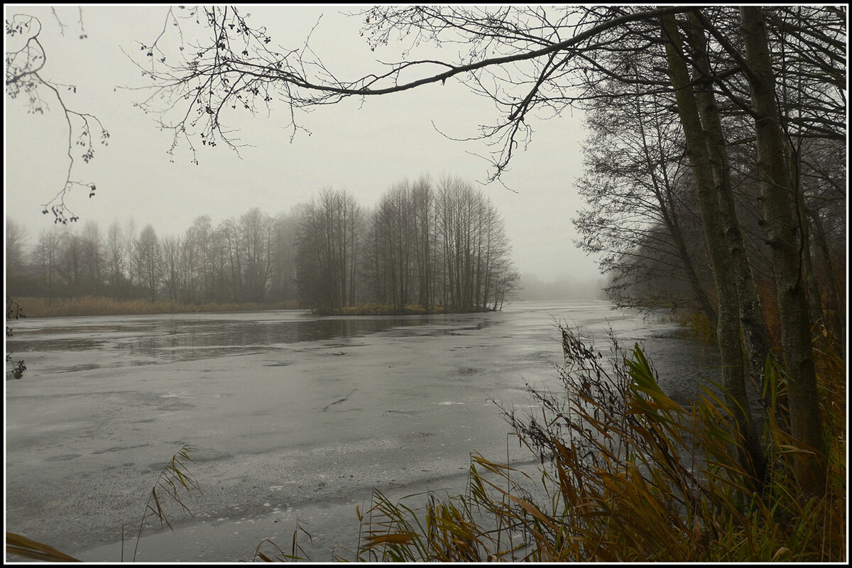 *** - Aleksandr Gal *** - Aleksandr Gal