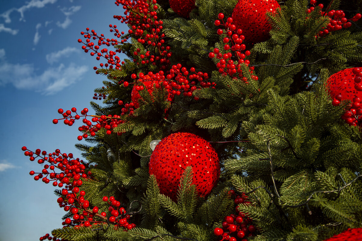 Ёлка Фрагмент - Анатолий Чикчирный Ёлка Фрагмент - Анатолий Чикчирный