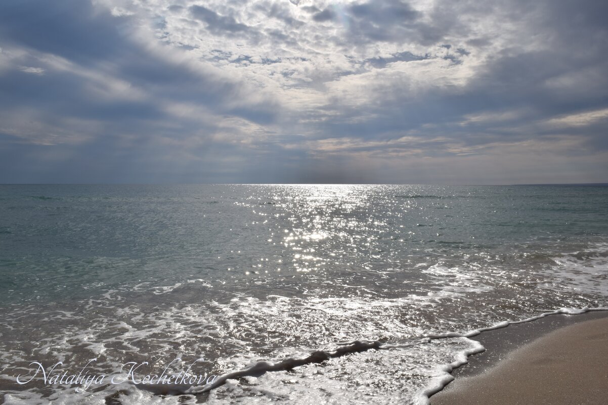 Природа Крыма - Amazing Cosmea