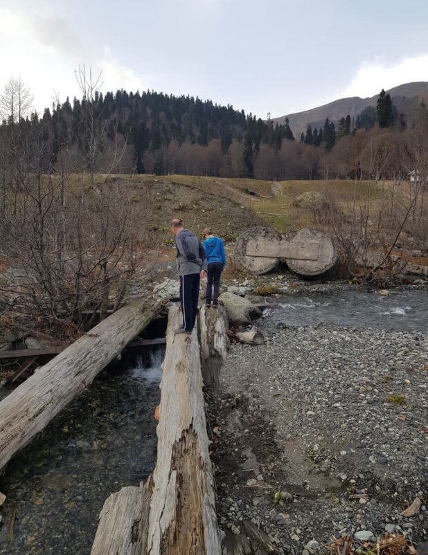 АБХАЗИЯ 2025 НОЯБРЬ - Tata Wolf